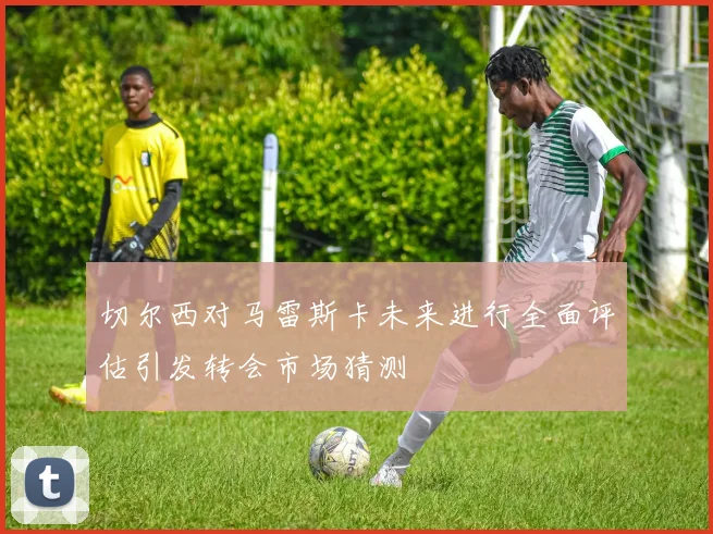 切尔西对马雷斯卡未来进行全面评估引发转会市场猜测